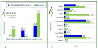 Avance datos estadísticos enero 2020 en Castilla y León