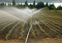 Más de 2 Millones para la modernización del regadío en Villarnera de la Vega, León