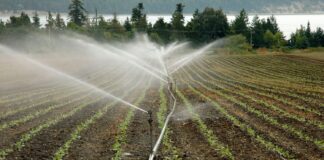 Más de 2 Millones para la modernización del regadío en Villarnera de la Vega, León