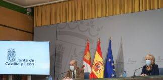 La JCYL aprueba 1.95 Millones para tratamientos selvícolas en la provincia de Ávila