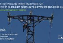 Jornada sobre Corrección de Tendidos Eléctricos y Biodiversidad. Organizada por la JCYL