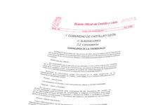 Nueva linea de ayudas para mejorar el acceso a los edificios municipales