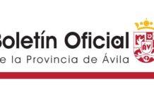 El Ayuntamiento de Ávila publica su plan anual de contratación para el 2023