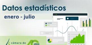 Datos provisionales de obra pública en Castilla y León (por fecha de apertura). Avance enero – julio 2023