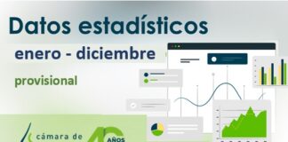 Datos provisionales de obra pública en Castilla y León (por fecha de apertura). Avance enero – diciembre 2024