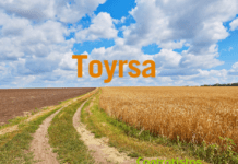 Toyrsa se adjudica el proyecto de mejora de infraestructuras agrarias en Santo Tomé del Puerto y Sigueruelo (Segovia)