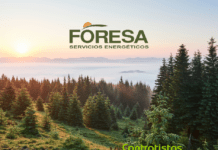 Adjudicación del proyecto de mejora del hábitat del oso pardo cantábrico a FORESA