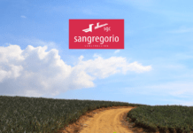 Contratas y Obras San Gregorio gana la licitación para la mejora de caminos y reforma de regadío en San Román de Hornija (Valladolid)