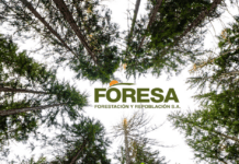 FORESA ejecutará el proyecto de tratamientos selvícolas preventivos en la Comarca de El Bierzo