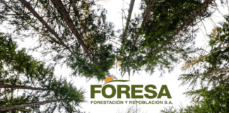 FORESA ejecutará el proyecto de tratamientos selvícolas preventivos en la Comarca de El Bierzo