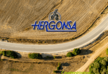 La Diputación de Ávila selecciona a Hergonsa para acondicionar la carretera AV-P-675