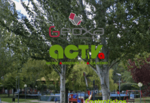 El Ayuntamiento de Palencia adjudica la renaturalización y regeneración de la Plaza Virrey Velasco