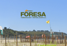 FORESA gana la licitación para la restauración ambiental de la playa de Navia (Asturias)