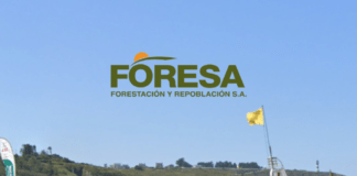 FORESA gana la licitación para la restauración ambiental de la playa de Navia (Asturias)