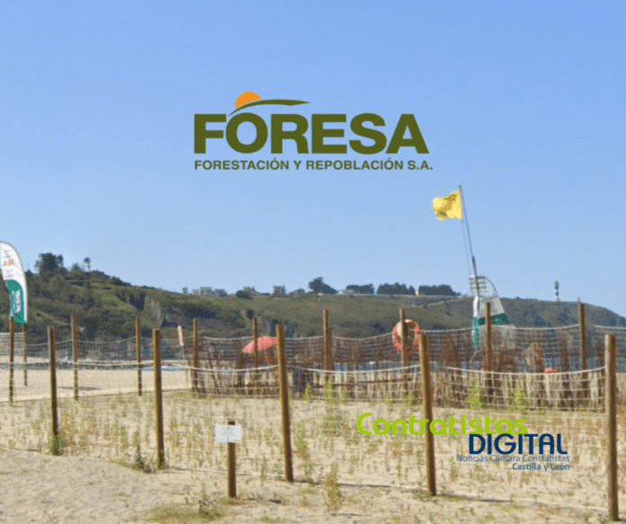 Diseño sin título - 2025-01-09T090143.811