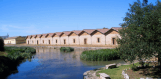 El Canal de Castilla licita obras de mejora en la Nave de Picos de Alar del Rey por 200.000 euros