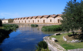 El Canal de Castilla licita obras de mejora en la Nave de Picos de Alar del Rey por 200.000 euros