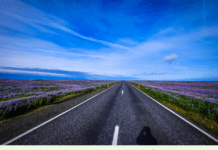 Transportes invierte 46,7 millones en Castilla y León para reparar carreteras dañadas por las borrascas