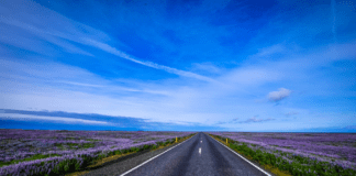 Transportes invierte 46,7 millones en Castilla y León para reparar carreteras dañadas por las borrascas