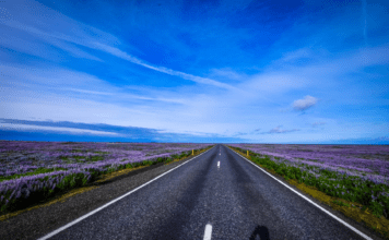 Transportes invierte 46,7 millones en Castilla y León para reparar carreteras dañadas por las borrascas